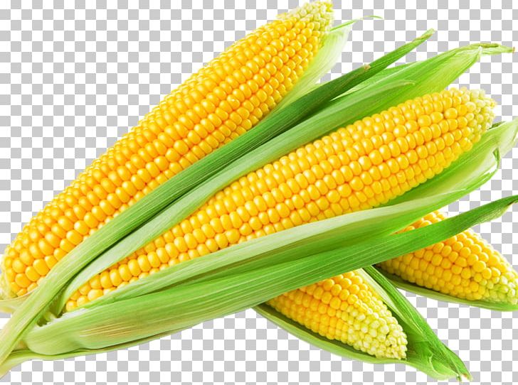 Maize Sweet Corn PNG, Clipart, Clip Art, Commodity, Corn, Corn Belt, Cornbread Free PNG Download
