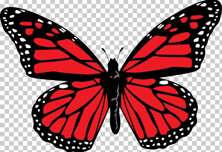 Monarch Butterfly Ulysses Butterfly Viceroy PNG, Clipart, Arthropod, Black And White, Brush Footed Butterfly, Butterfly, Color Free PNG Download