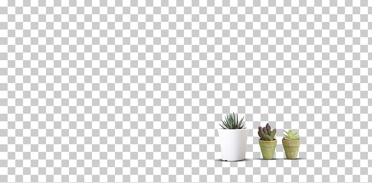 Flowerpot Citroën Cactus M PNG, Clipart, Cactus, Dna Core, Flowerpot, Grass, Plant Free PNG Download