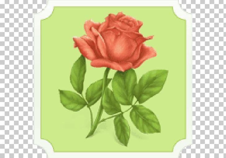 Islam Allah Love Muslim Marriage Poems PNG, Clipart, Cut Flowers, Fleur, Floribunda, Flower, Flowering Plant Free PNG Download
