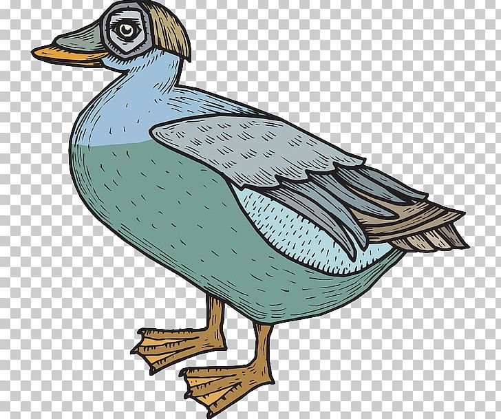 Mallard Goose Duck Feather Bird PNG, Clipart, Animals, Art, Artwork, Beak, Bird Free PNG Download