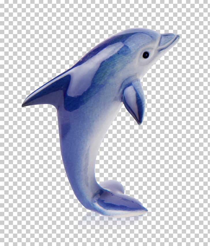 Common Bottlenose Dolphin Short-beaked Common Dolphin Wholphin Tucuxi Rough-toothed Dolphin PNG, Clipart, Animal, Animals, Beak, Blue, Bottlenose Dolphin Free PNG Download