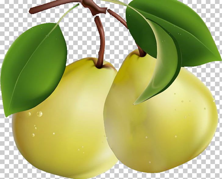 Pear PNG, Clipart, Apple, Apple Pears, Beautiful, Bitmap, Citrus Free PNG Download