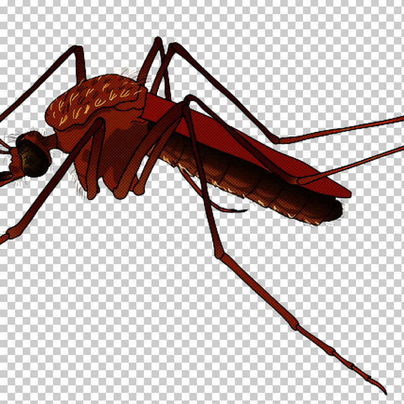 Insect Pest Carpenter Ant Ant Cockroach PNG, Clipart, Ant, Carpenter Ant, Cockroach, Insect, Leaf Footed Bugs Free PNG Download
