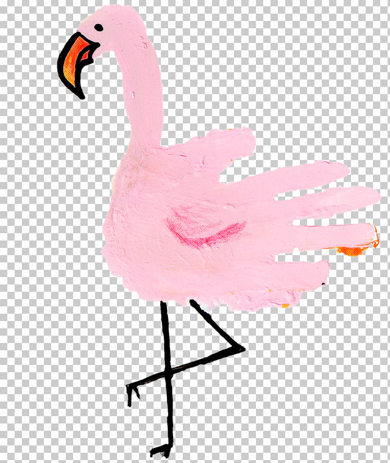 Flamingo PNG, Clipart, Beak, Bird, Feather, Flamingo, Goose Free PNG Download
