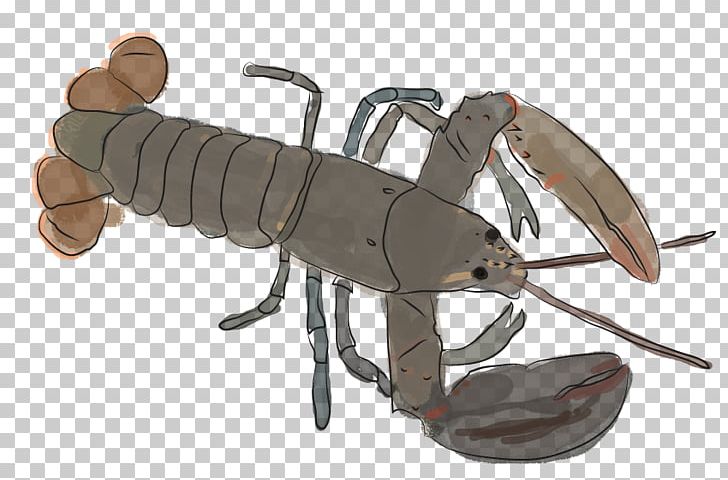 American Lobster Seafood Maine Crab PNG, Clipart, American Lobster, Animals, Crab, Cuttlefish, Decapoda Free PNG Download