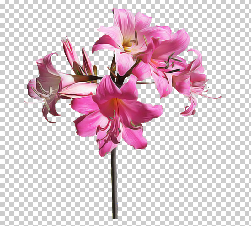 Floral Design PNG, Clipart, Artificial Flower, Cut Flowers, Floral Design, Flower, Flower Bouquet Free PNG Download