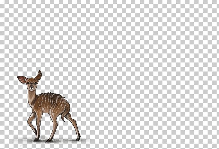 Deer Antelope Pronghorn Moose Wildlife PNG, Clipart, Animal, Animal Figure, Animals, Antelope, Deer Free PNG Download
