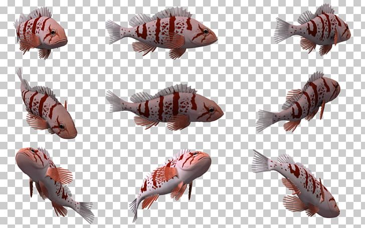 Fish Marine Mammal Marine Biology PNG, Clipart, 3 D, 3d Computer Graphics, Animal, Animals, Animal Source Foods Free PNG Download