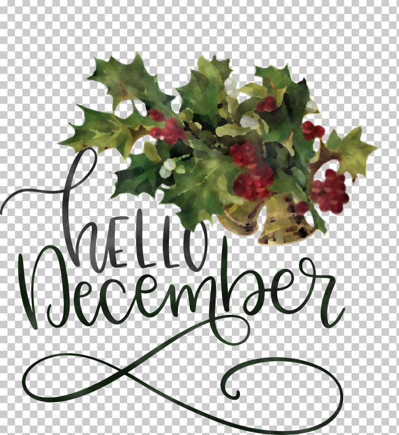 Hello December Winter December PNG, Clipart, Aquifoliales, Christmas Day, Christmas Ornament, Christmas Ornament M, Cut Flowers Free PNG Download