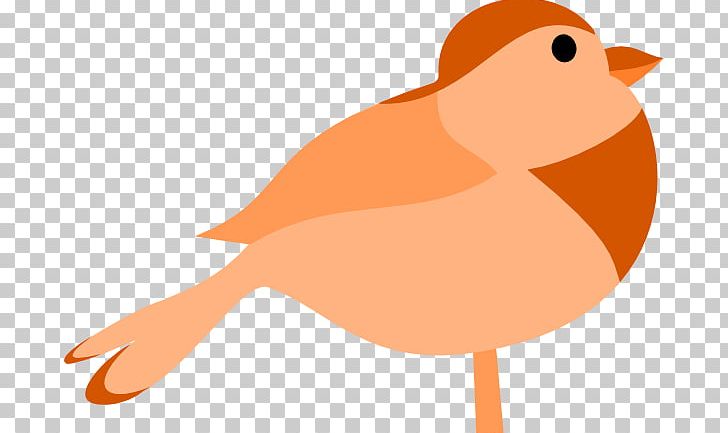 Bird PNG, Clipart, Art, Beak, Bird, Bird Flight, Blog Free PNG Download