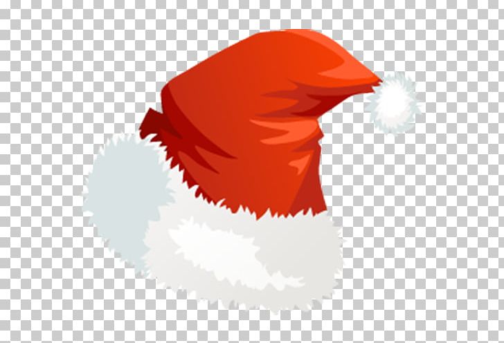 Christmas Bonnet Hat Cap PNG, Clipart, Beak, Bird, Bonnet, Cap, Christmas Free PNG Download