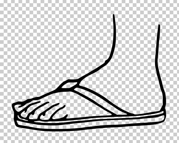 Flip-flops Sandal Shoe PNG, Clipart, Area, Art, Artwork, Black, Black And White Free PNG Download