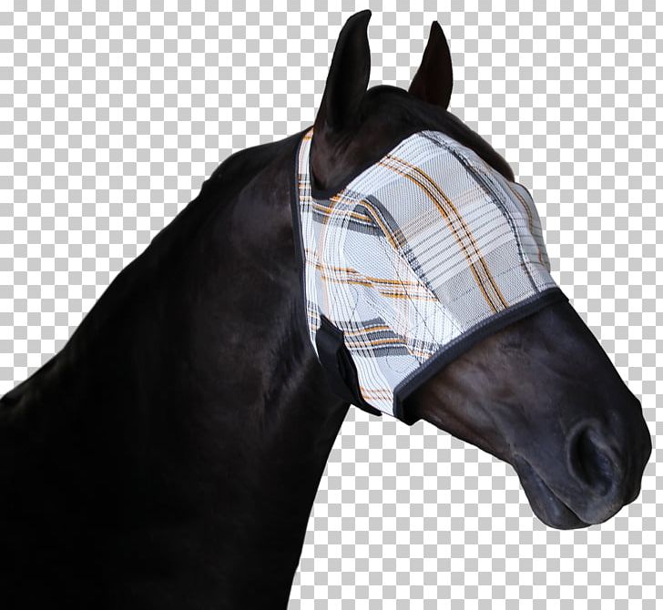 Horse Kensington Protective Products PNG, Clipart, Animals, Bridle, Facial, Fly, Fly Mask Free PNG Download