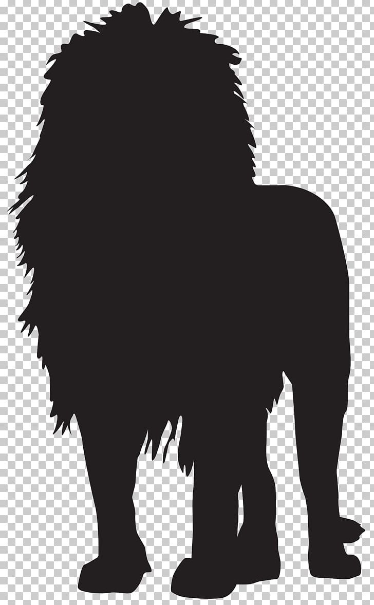 White Lion Silhouette PNG, Clipart, Black, Black And White, Carnivoran, Cat Like Mammal, Clip Art Free PNG Download