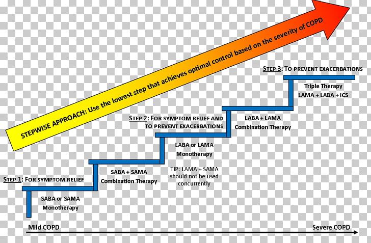 Chronic Obstructive Pulmonary Disease Pharmaceutical Drug Bronchodilator Therapy Asthma PNG, Clipart, Angle, Area, Asthma, Brand, Bronchodilator Free PNG Download