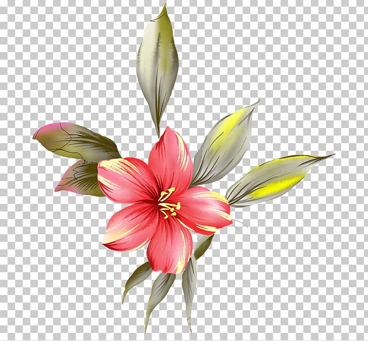 Cut Flowers Petal PNG, Clipart, Artificial Flower, Cicek, Cicek Resimleri, Computer Icons, Download Free PNG Download