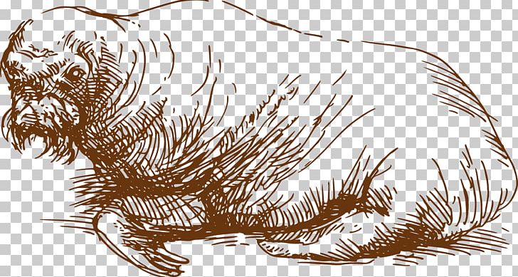 Sea Lion Drawing Carnivora Illustration PNG, Clipart, Animal, Animals, Art, Carnivora, Carnivoran Free PNG Download