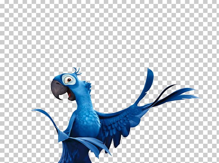 Rio De Janeiro Jewel Parrot Blu Bird PNG, Clipart, Animation, Beak, Bird, Blu, Cartoon Free PNG Download