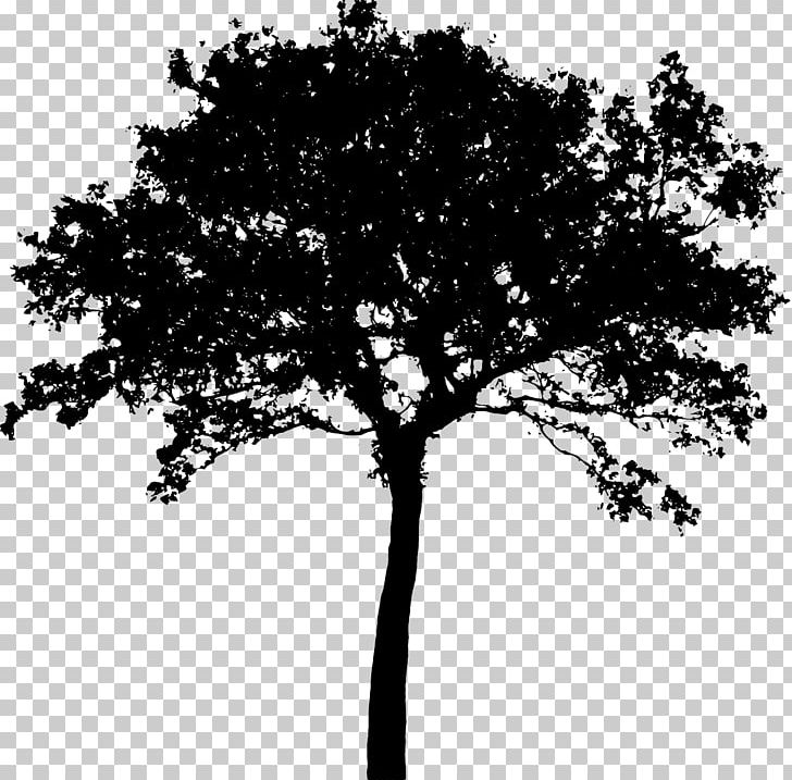 Silhouette Tree PNG, Clipart, Animals, Art, Black And White, Branch, Bush Free PNG Download