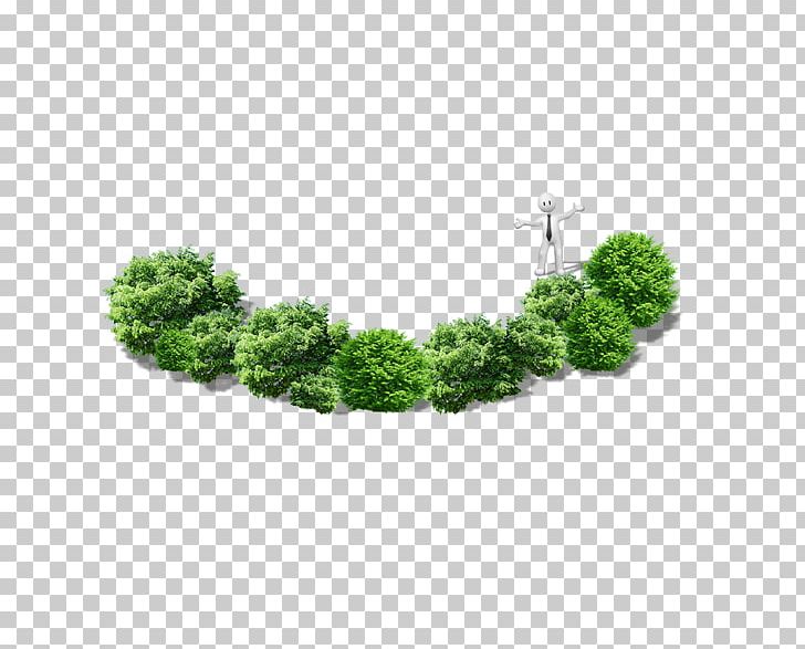 Tree PNG, Clipart, Angle, Decorative Patterns, Dental Implant, Dentist, Dentistry Free PNG Download