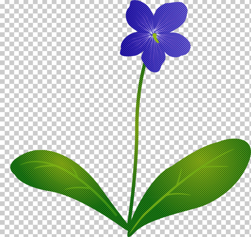 Violet Flower PNG, Clipart, Biology, Cactus, Flora, Flower, Herbaceous Plant Free PNG Download