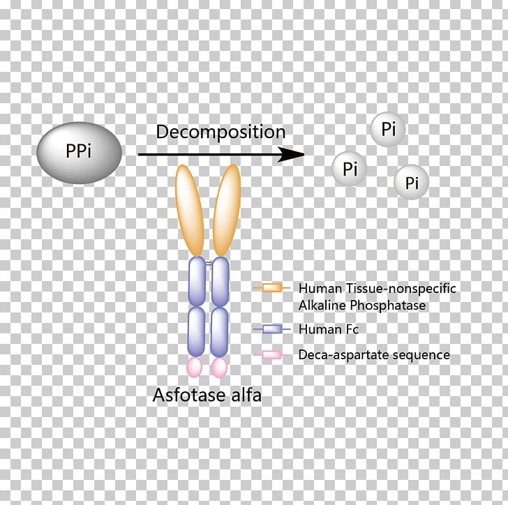 Asfotase Alfa Enzyme Replacement Therapy Strensiq Hypophosphatasia Mechanism Of Action PNG, Clipart, Body Jewelry, Brand, Chemical Structure, Clinical Trial, Diagram Free PNG Download