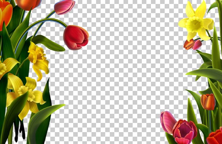 Frame PNG, Clipart, Christmas Decoration, Computer Wallpaper, Cut Flowers, Deco, Decor Free PNG Download