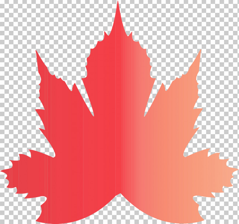 Maple Leaf PNG, Clipart, Atmosphere Of Earth, Autumn, Autumn Color, Autumn Leaf, Balloon Free PNG Download
