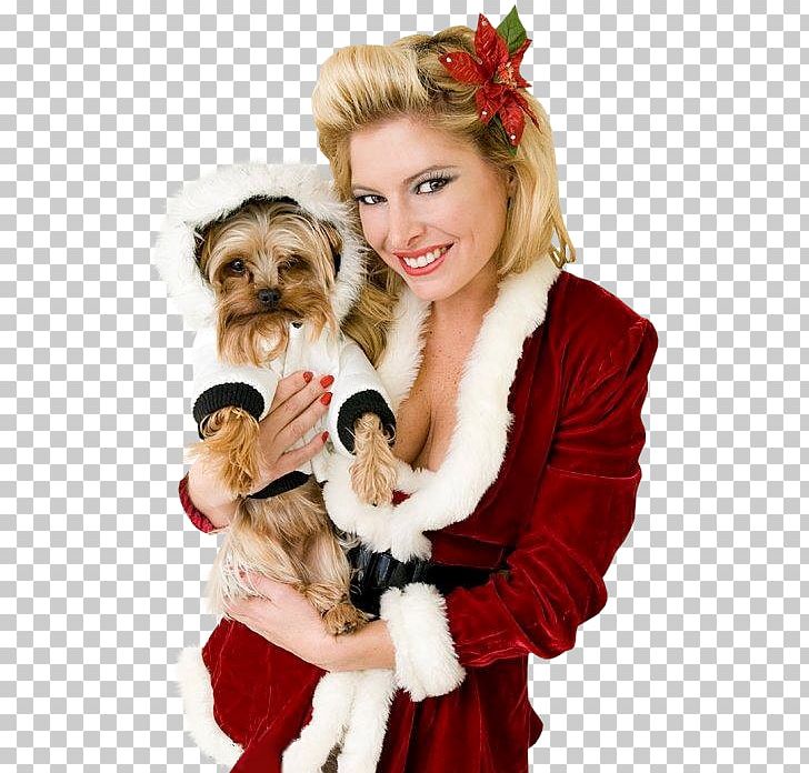 Mrs. Claus Santa Claus Christmas Ornament Dog Breed PNG, Clipart, Blog, Carnivoran, Centerblog, Christmas, Christmas Decoration Free PNG Download