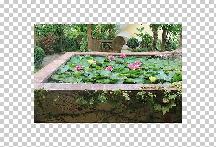 Backyard Pond Lawn Groundcover Rectangle PNG, Clipart, Backyard, Garden, Grass, Groundcover, Landscape Free PNG Download