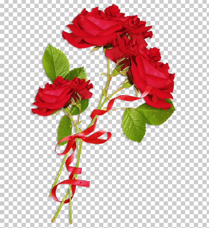 Friendship Photography Night Facebook PNG, Clipart, Annual Plant, Artificial Flower, Colored Ribbon, Floribunda, Flower Free PNG Download