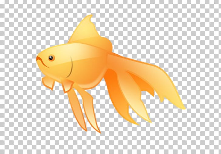 Goldfish Computer Icons PNG, Clipart, Animals, Bony Fish, Computer Icons, Download, Fin Free PNG Download