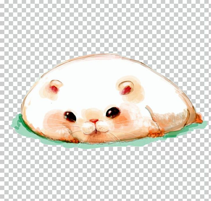 Hamster Mouse Rat Kitten Whiskers PNG, Clipart, Animals, Carnivoran, Cartoon, Cat, Cat Like Mammal Free PNG Download