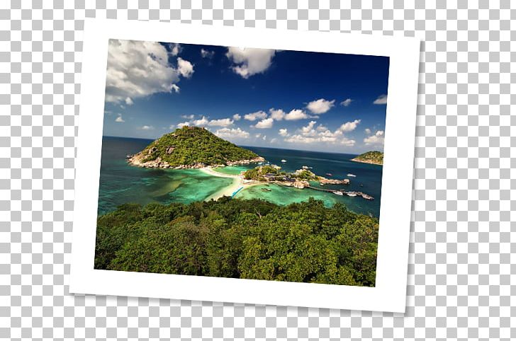 Nang Yuan Island Ko Samui Ko Tao Ko Pha-ngan PNG, Clipart, Coral, Coral Reef, Excursion, Island, Kokopo Beach Bungalow Resort Free PNG Download