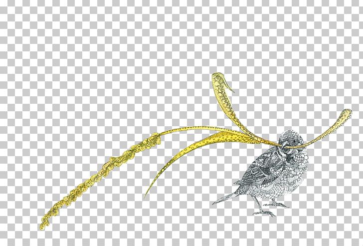 Sparrow Drawing Illustration PNG, Clipart, Animals, Art, Beak, Bird, Cartoon Free PNG Download