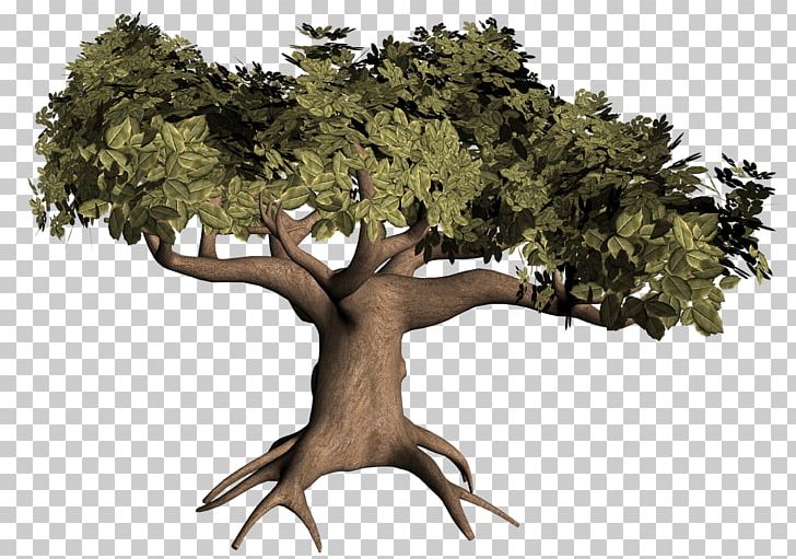 Tree Root Computer Icons PNG, Clipart, Arborist, Bonsai, Branch, Computer Icons, Download Free PNG Download