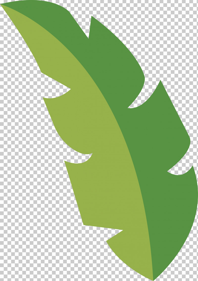 Leaf PNG, Clipart, Angle, Green, Leaf, Meter, Mtree Free PNG Download