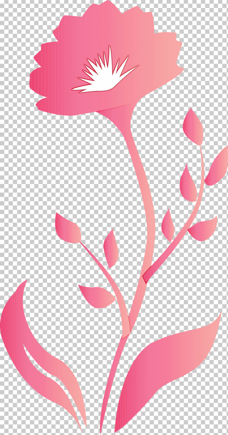 Pink Pedicel Plant Flower Plant Stem PNG, Clipart, Decor Frame, Flower, Paint, Pedicel, Pink Free PNG Download