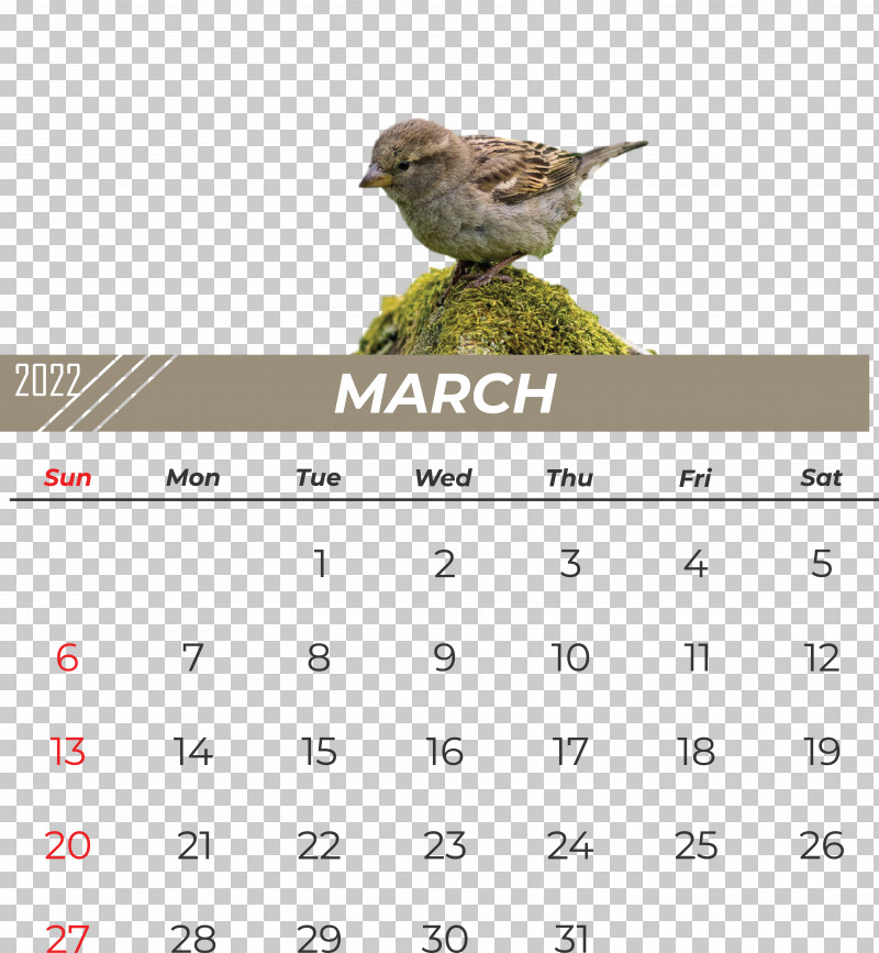 Birds Beak Calendar Font Meter PNG, Clipart, Beak, Biology, Birds, Calendar, Meter Free PNG Download