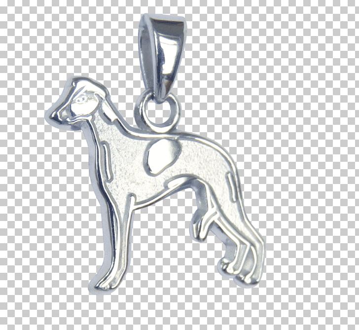 Charms & Pendants Dog Breed Whippet Gold Charm Bracelet PNG, Clipart, Bangle, Body Jewellery, Body Jewelry, Bracelet, Breed Free PNG Download