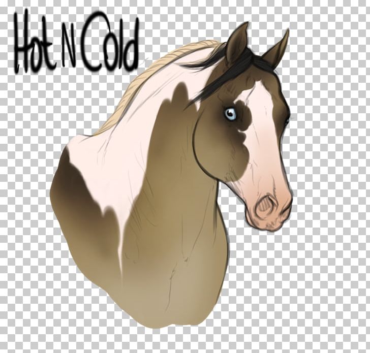 Foal Stallion Bridle Mare Colt PNG, Clipart, Bridle, Cartoon, Colt, Foal, Halter Free PNG Download