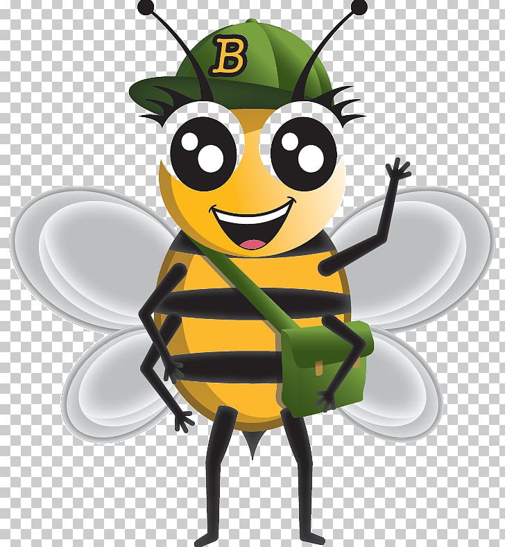 Insect Honey Bee Bee Sting Beehive Pollinator PNG, Clipart, Africanized Bee, Animals, Apocephalus Borealis, Bee, Bee Bee Free PNG Download