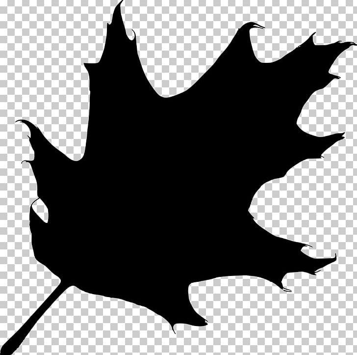 Oak Silhouette Tree PNG, Clipart, Animals, Artwork, Autumn Leaf Color, Black, Black And White Free PNG Download