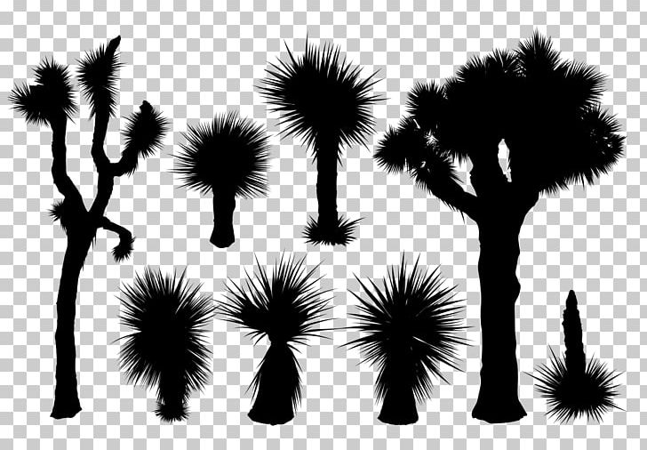 Silhouette Photography PNG, Clipart, Animals, Art, Black And White, Branch, Cactaceae Free PNG Download
