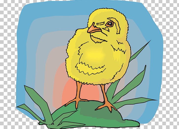 T-shirt Bird Beak Infant PNG, Clipart, Art, Artwork, Beak, Bib, Bird Free PNG Download