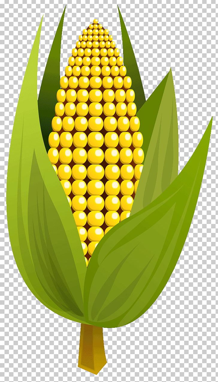 Corn On The Cob Maize Corncob PNG, Clipart, Commodity, Corn, Corn Clipart, Corncob, Corn On The Cob Free PNG Download