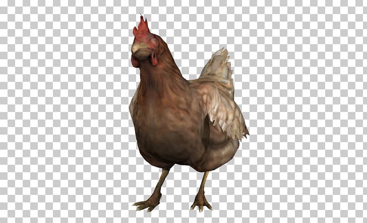 Counter-Strike: Global Offensive Leghorn Chicken Ixworth Chicken Hen Counter-Strike 1.6 PNG, Clipart, Beak, Best Moments, Bird, Cheating In Video Games, Chicken Free PNG Download