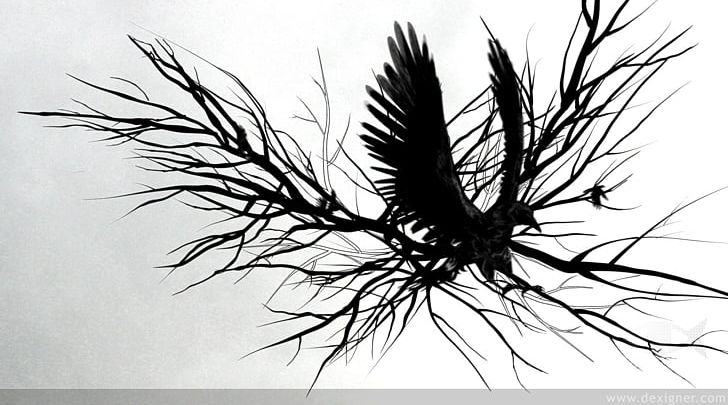 Crows MTV Live HD Psyop Viacom Media Networks PNG, Clipart, Animals, Black And White, Branch, Cmt, Computer Wallpaper Free PNG Download