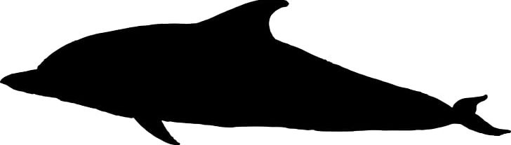 Dolphin Porpoise Black And White Fauna PNG, Clipart, Beak, Black, Black And White, Carnivora, Carnivoran Free PNG Download